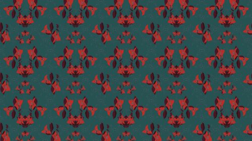 Flowers, Patterns, Texture HD Wallpapers Free Download