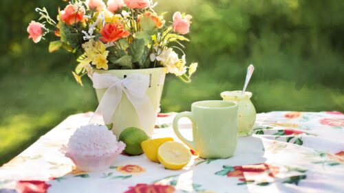 Flowers, Vase, Tableware, Lime HD Wallpapers Free Download
