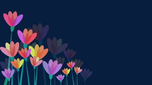 Flowers, Vector, Colorful HD Wallpapers Free Download