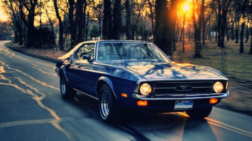 Ford Mustang, Cars, Traffic Wallpapers For Desktop