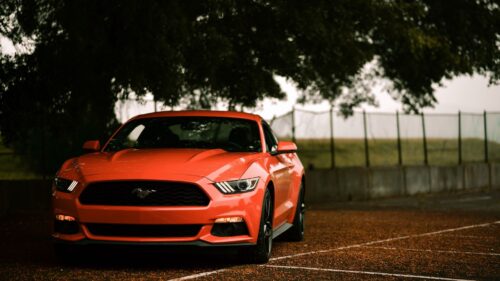Ford Mustang, Ford Car Wallpapers For Desktop (2)