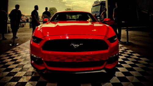 Ford Mustang, Red, Front View Wallpapers For Desktop