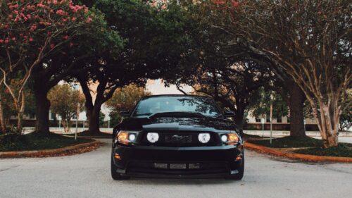 Ford Mustang, Sports Car, Front View Wallpapers For Desktop