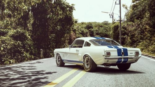 Ford Shelby, GT350r Wallpapers For Desktop