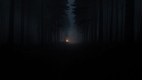 Forest, Fog, Darkness Wallpapers For Desktop