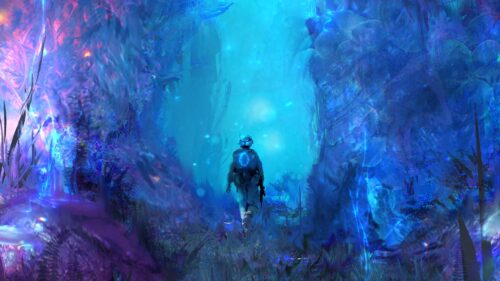 Forest, Man, Art Wallpapers For Desktop