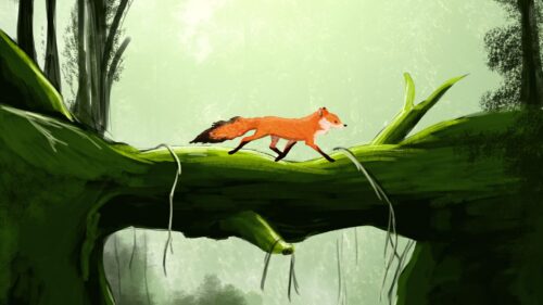 Fox, Cute, Bridge HD Wallpapers For Desktop
