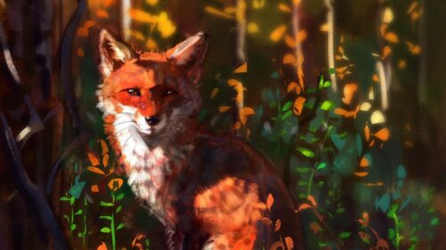 Fox, Glance, Art HD Wallpapers For Desktop