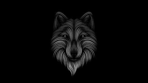 Fox, Line, Art HD Wallpapers For Desktop