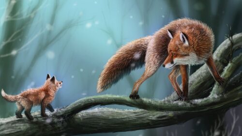 Fox, Profile, Branch HD Wallpapers For Desktop