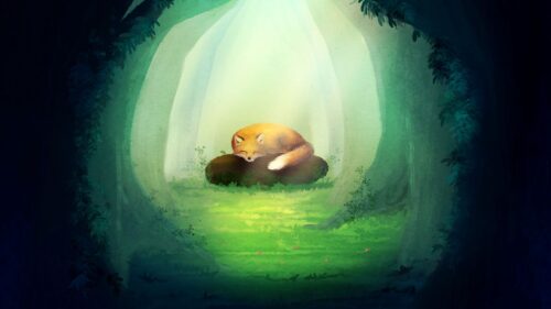 Fox, Stone, Forest HD Wallpapers For Desktop