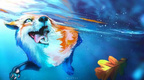 Fox, Tongue, Protruding, Water HD Wallpapers For Desktop