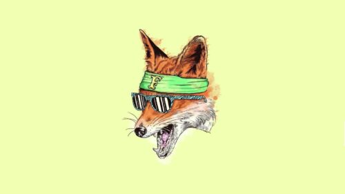 Fox,Bandage, Points, Drawing HD Wallpapers For Desktop