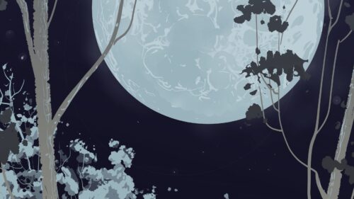 Full, Moon, Forest, Vector HD Wallpapers For Desktop