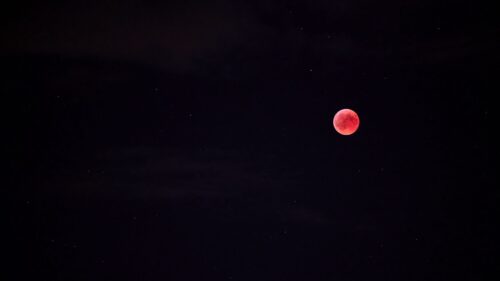 Full Moon, Red Moon, Moon HD Wallpapers For Your Device