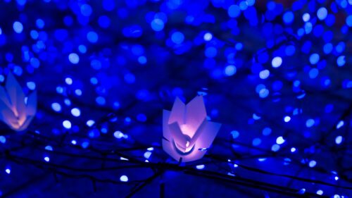 Garland, Glare, Bokeh HD Wallpapers For Desktop