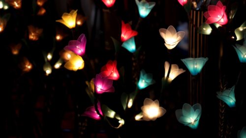 Garland, Lighting, Flowers HD Wallpapers For Desktop