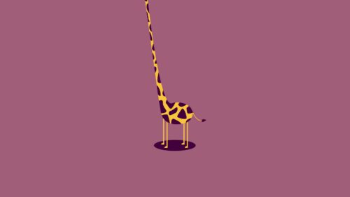 Giraffe, Form, Light HD Wallpapers Free Deownload