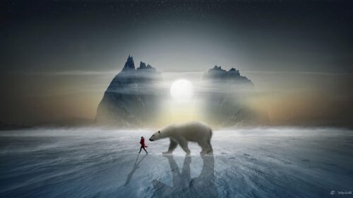 Girl, Bear, Snow HD Wallpapers Free Deownload