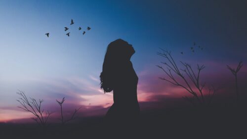 Girl, Silhouette, Moon Free Wallpapers Download