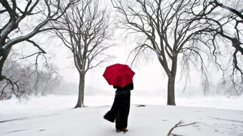 Girl, Umbrella, Cherry, Snow Desktop HD Wallpapers Free Download