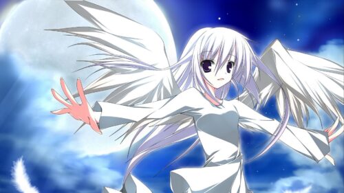 Girl, Wings, Feathers Desktop HD Wallpapers Free Download