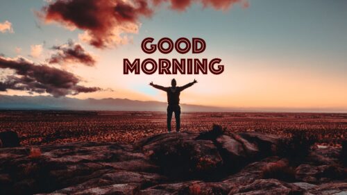 Good Morning, Morning Desktop HD Wallpapers Free Download