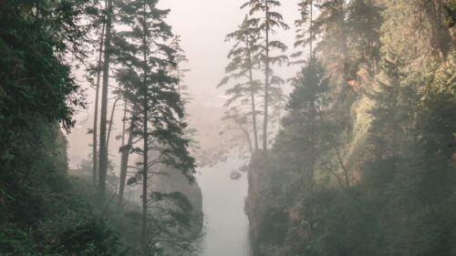 Gorge, River, Fog Desktop HD Wallpapers Free Download