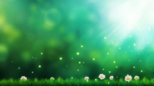 Grass, Daisies, Light, Art PC Wallpapers Free Download
