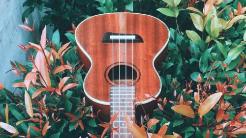 Guitar, Hand, Bushes PC Wallpapers Free Download