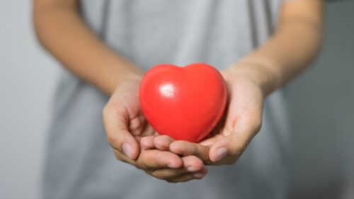Hands, Heart, Palms Wallpapers Free Download