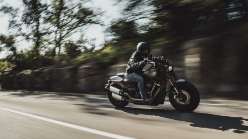Harley Davidson, Motorcycle, Biker Wallpapers Free Download