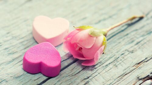 Heart, Flower, Tenderness, Pink Wallpapers Free Download