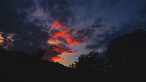 Hill, Bushes, Dark Wallpapers Free Download