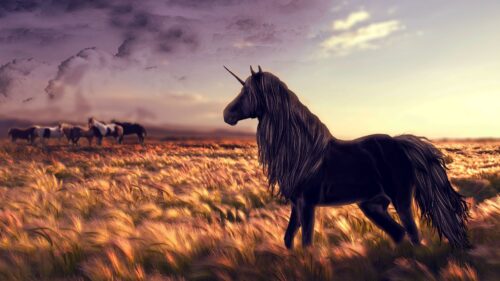 Horse, Unicorn, Golf, Art, Grass, Wind HD Wallpapers Free Download