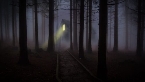 House, Forest, Fog HD Wallpapers Free Download