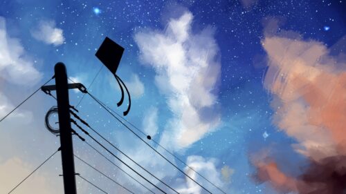 Kite, Wires, Night HD Wallpapers for PC