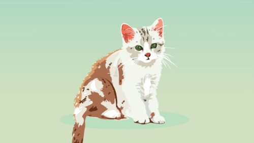Kitten, Cat, Vector HD Wallpapers for PC