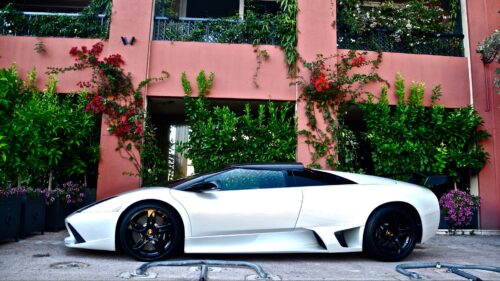 Lamborghini Murcielago, White, Side View Free Wallpapers Download