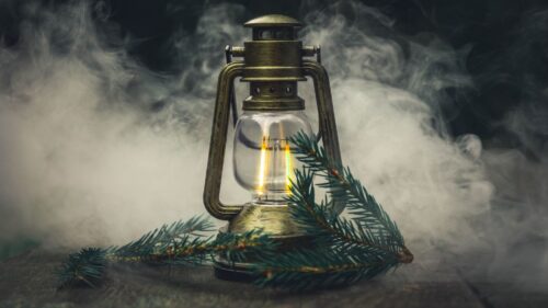 Lamp, Branch, Spruce Nice Wallpapers Download