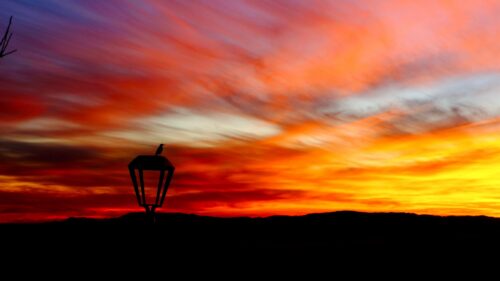 Lantern, Bird, Silhouette, Sunset Great Wallpapers Download
