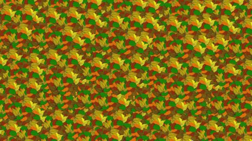 Leaves, Autumn, Patterns Great Wallpapers Download
