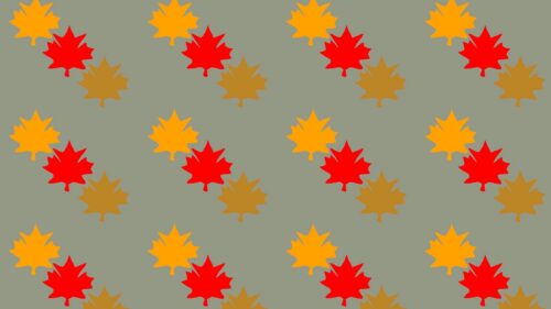 Leaves, Maple, Autumn Great Wallpapers Download