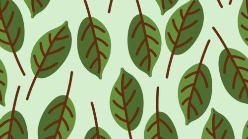 Leaves, Patterns, Vector Great Wallpapers Download