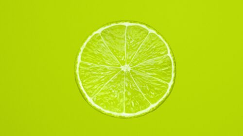 Lemon, Slice, Citrus Great Wallpapers Download