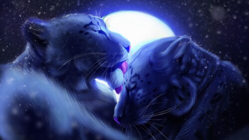 Leopards, Moon, Art Perfect Wallpapers Download