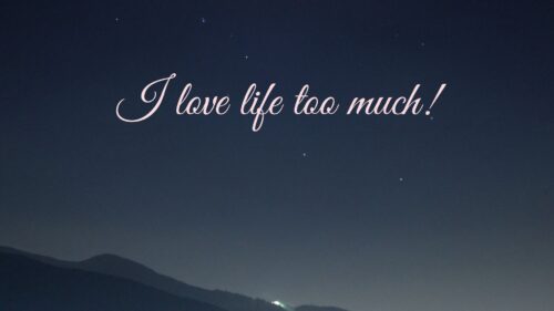 Life, Love, Night Free Wallpapers Download For Desktop