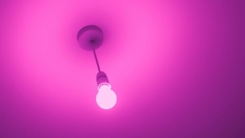 Light Bulb, Electricity, Pink Free Wallpapers Download For Desktop