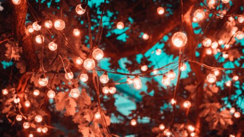 Light Bulbs, Garland, Lighting Free Wallpapers Download For Desktop