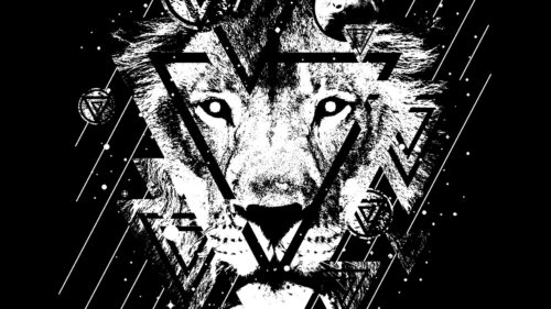 Lion, Art, BW Free Wallpapers Download For Desktop